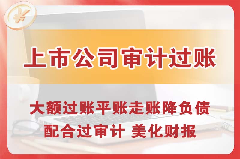 乐陵上市公司审计过账